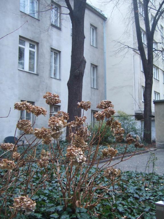 Vienna Top Comfort Apartment Екстер'єр фото